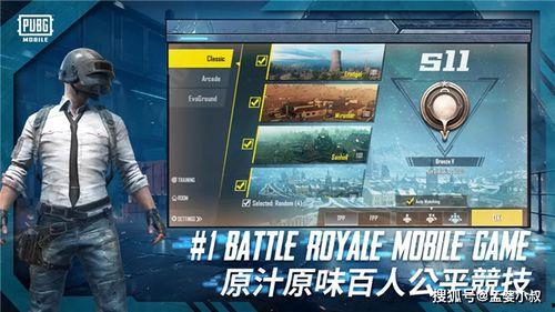 吃鸡新皮肤爆料最新版,揭秘最新爆料版神秘面纱 第1张 吃鸡新皮肤爆料最新版,揭秘最新爆料版神秘面纱 第1张